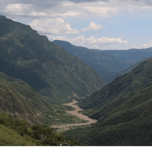 Upload image to gallery, Café Colombia Bio - Santander, Colombia