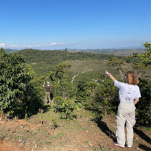 Upload image to gallery, Café San Lorenzo - Coban, Guatemala
