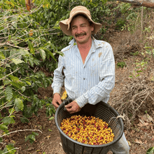 Upload image to gallery, Café Canela del Fuego - Tarrazú, Costa Rica