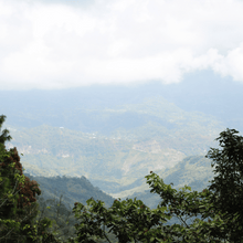 Upload image to gallery, Café Santa Fé Decaf - Chiapas, Mexico