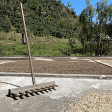 Upload image to gallery, Café La Esperanza - Antigua, Guatemala