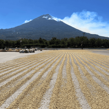 Upload image to gallery, Café La Esperanza - Antigua, Guatemala