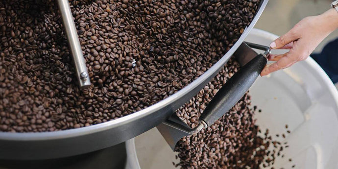 The different types of roasted coffee: how to choose yours