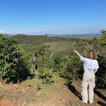 Upload image to gallery, Café San Lorenzo - Coban, Guatemala
