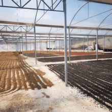 Upload image to gallery, Café Canela del Fuego - Tarrazú, Costa Rica
