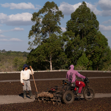 Upload image to gallery, Café Brazil
