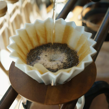 Upload image to gallery, origami coffee filter
